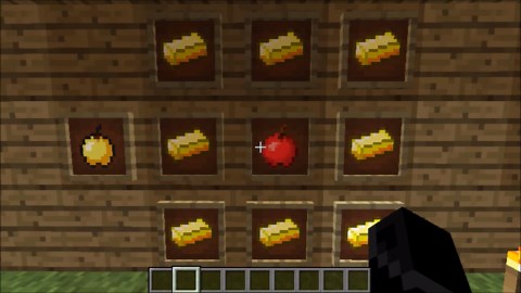 Minecraft Hunger Games Tips