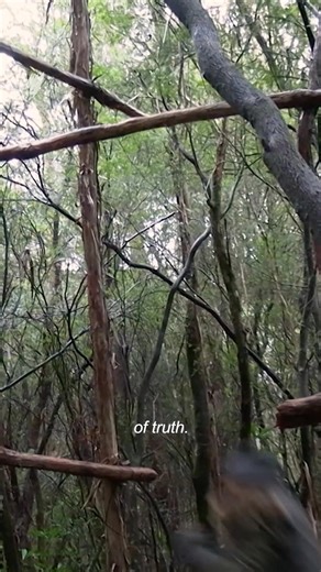 You’ve never seen survival like this... Alone Australia returns with an epic record-breaking season! | SBS On Demand | Facebook