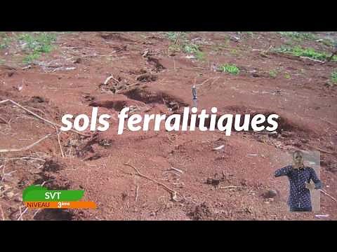 3ème-SVT-Leçon 2 /2ème partie : Les relations sols-plantes