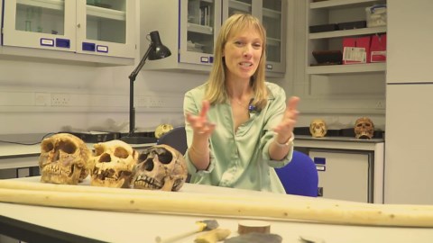 The Schöningen Spears | The Oldest Weapons in Human History_