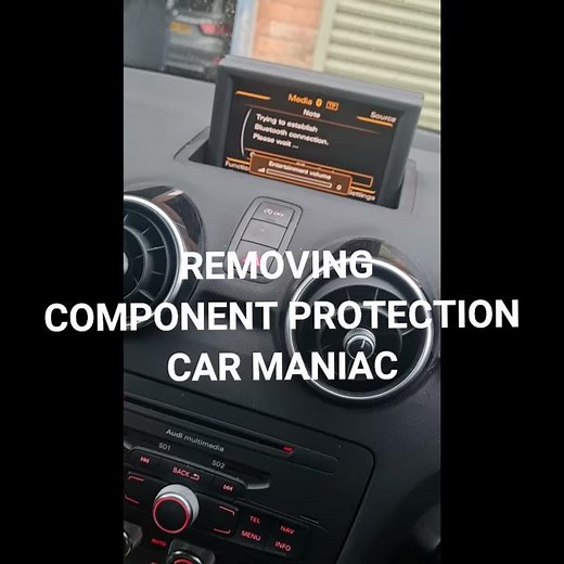 Audi VW Seat Skoda Component Protection removal service up to the current date car