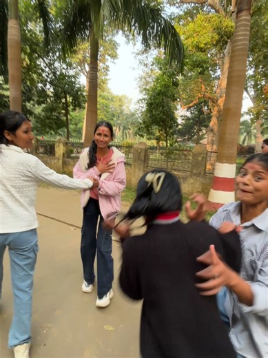 Hilarious Gorilla Comedy Moments