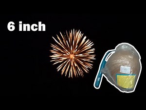 (2x) 6 inch shells - Golden Brocade Crown (6" / 150mm display shells)