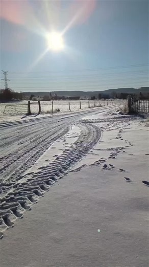 Farm Store is Open Today 9 till 1 Our stock has been hit pretty hard this week but we still have a lot of great products available. Shop online through our website (link in profile) Or Stop in today and see us. Here's what's in stock: Pastured Poultry🐔 🔸Eggs - LOW STOCK 🔸Boneless Skinless Breast 🔸Chicken Drumsticks 🔸Chicken Wings 🔸Chicken Thighs 🔸Chicken Backs - 50% OFF 🔸Chicken Necks 100% Grass Fed Beef🥩🐂 🔸Beef Sausage 🔸Hamburger Patties 🔸Striploin Steaks 🔸Sirloin Steaks 🔸Tenderl