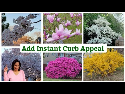 Best Spring Flowering Trees & Shrubs to Plant Now #springblooming