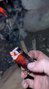 706K views · 1.8K reactions | little dirty #fyp #bushcraft #survival #willsurvives | Will survives | Facebook