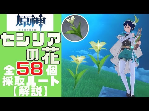 [Genshin Impact] A clearer explanation of the Cecilia flower collection route (50 + 8) than anyon...