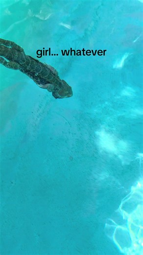 Explore Fun Pool Moments with Girl…Whatever