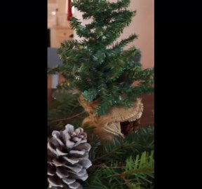 Christmas Tablescape Design