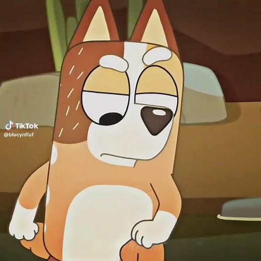 Bluey Tiki Tiki Cartoon Edits and Fun Moments