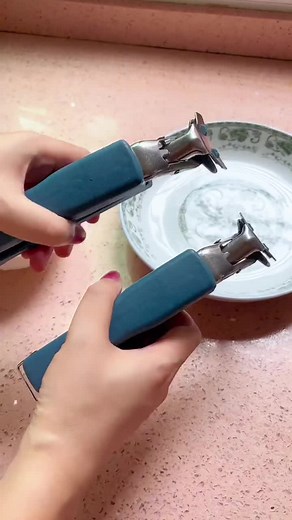 Essential Kitchen Tools for Every Home Cook