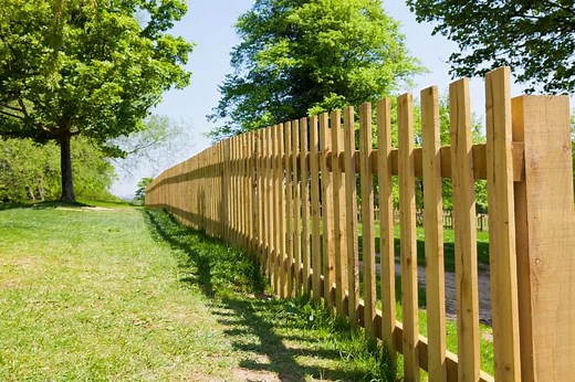 Top 9 Best Wood for Outdoor Fence ( 2025 List)