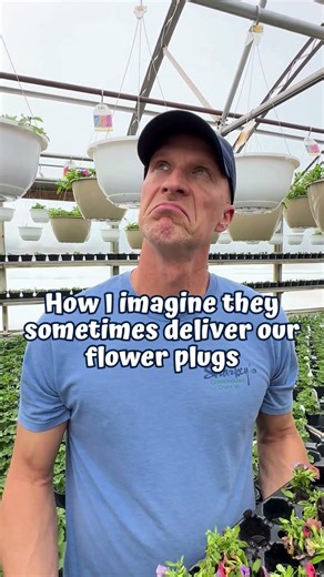 These Plants Were Almost DESTROYED in Shipping 😳Sometimes You Wonder How They Deliver