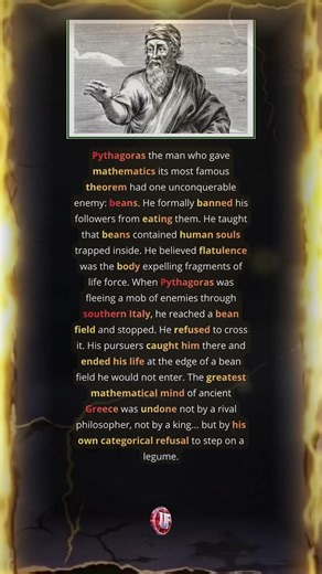 Pythagoras The Math Genius Who Feared Beans