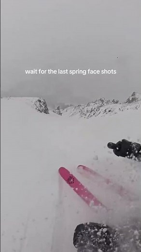 wait for the last spring face shots | blackcrows skis