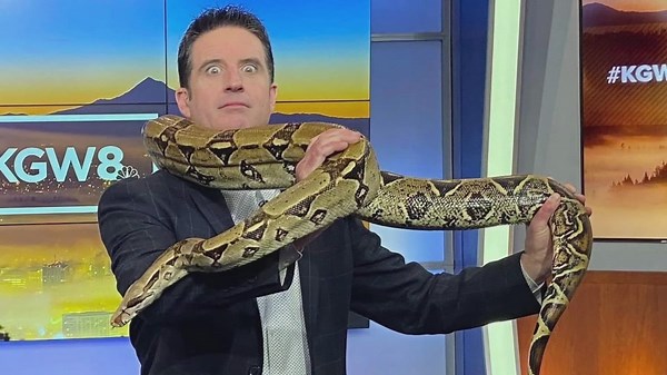 Meet the new anchor of 9NEWS Mornings