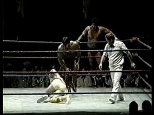 The High Flyers vs Rick Martel & Tito Santana (07/18/1982)