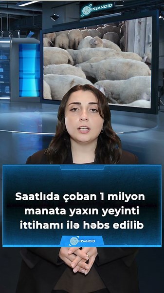 Saatlıda çoban 1 milyon manata yaxın yeyinti ittihamı ilə həbs edilib #milyon #saatlı #çoban