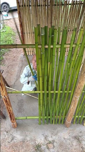 Building an Outdoor Bamboo Pavilion: From Scratch DIY Process