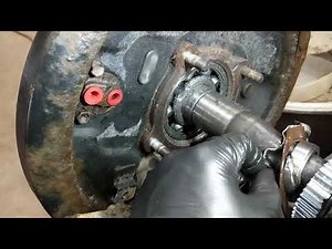 Tacoma rear axle bearings