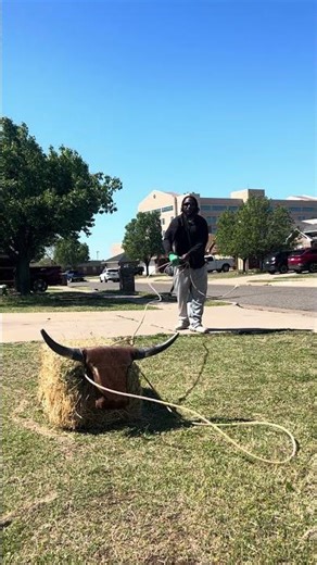 Ground work #horse #rodeo #roping #cowboys #teamroping