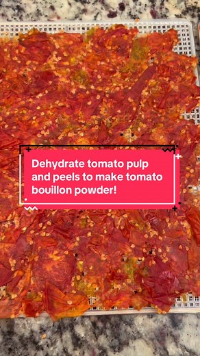 Make Tomato Bouillon Powder from Scraps