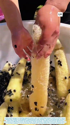 Handcrafted Process of Turning Loofah Fibers into Dishwashing Scrubbers