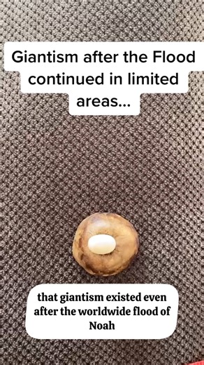 The elephant bird was a giant, flightless bird that lived in Madagascar and is believed to have gone extinct around 1,000 years ago. It could grow over 10 feet tall and lay the largest eggs of any known animal, some larger than a basketball. #ExtinctGiants #ElephantBird | Lost World Museum