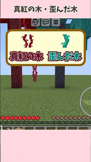 マイクラの「真紅の木」と「歪んだ木」の基本まとめ！初心者向けに解説！ #shorts #minecraft #game