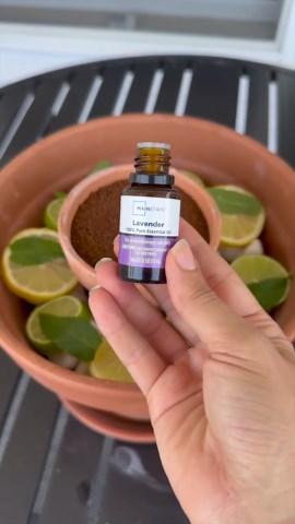 Make This for Your Backyard! (DIY Bug Repellent)