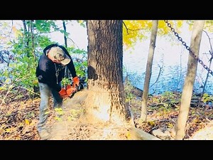108K views · 760 reactions | In this October 22, 2018 firewood video my supplier Mike tries to fell a oak tree stub that's leaning towards our lake back into the woods, let's just say it didn't go as planned. PLEASE be sure to FOLLOW/LIKE page and SHARE video if you enjoyed it. | Joe's Premium Firewood | Facebook