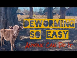 Cattle Dewormer The Easy Way