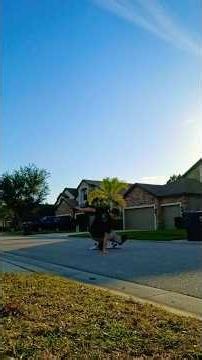learned how to varial heel flip in 2 days #heelflip #varial #skateboarding #skate #tricks