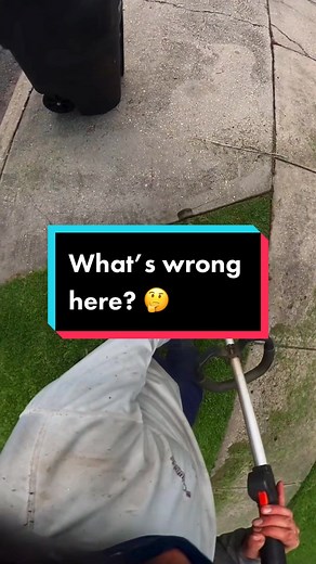 Did you see it? #foryou #fyp #foryoupage