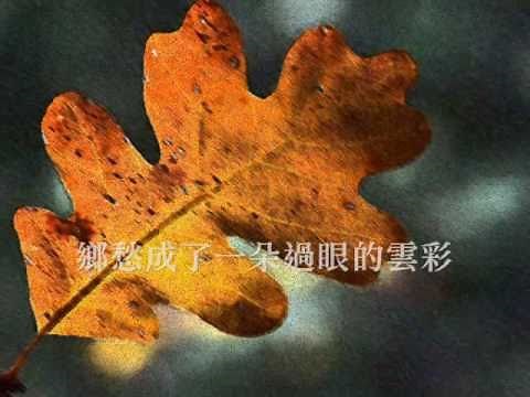 曾淑勤 - 客途秋恨