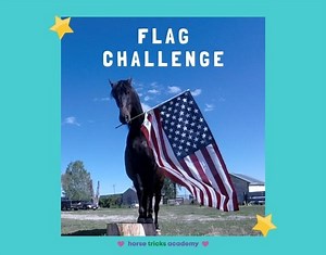 5.8K views · 165 reactions |   The Worldwide Flag Challenge  was last month's challenge in The Horse Tricks Academy ⭐ The goal was to teach our horses to hold or wave a flag from their country. Here are some of our wonderful members and their horses  (+ one clever cow ) from all around the world!...  | Horse Tricks 101 | Facebook