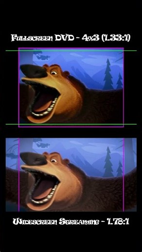 Open Season: Widescreen vs Fullscreen