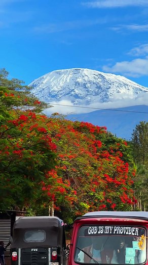 Exploring Moshi Town and Mount Kilimanjaro
