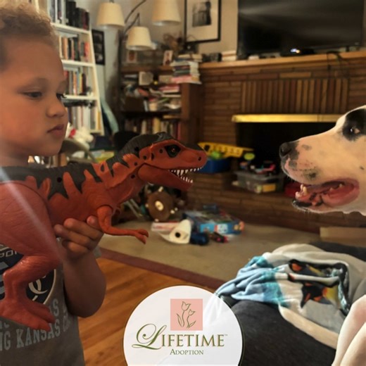 In honor of National Adoption Month, we're featuring families who are...