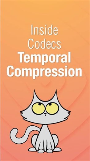 What Happens Between Video Frames (It'll Shock You) #videotech #compression