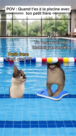 POV : Quand t’es à la piscine avec ton petit frère #humour #drole #catmemes #pov