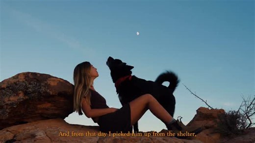 adopting a little wolf to have as a side kick for my 20’s was the best decision I ever made | Rachel Harris
