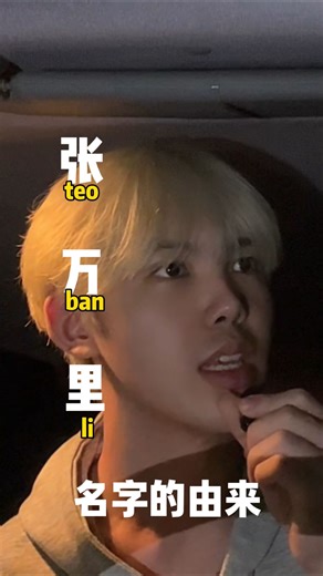 Bryan Teo Yong on Instagram: "祝大家新年跟我的名字一样吉祥，全部中万字🧨🎉🧧 #新年 #万字 #搞笑 #名字 #马来西亚"