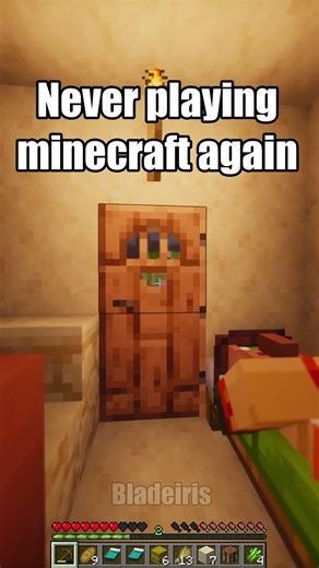 Never playing minecraft again