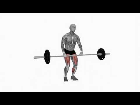 Barbell Clean Deadlift - Proper Form & Technique [4K]