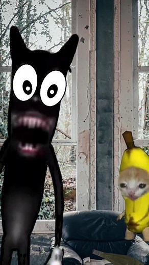 The Cat Adventures on TikTok