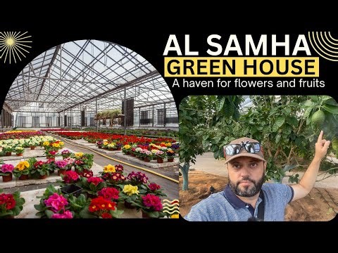 Beautiful Greenhouse in the Desert | Al Samha Green House Abu Dhabi Vlog