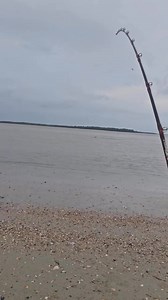 Marc Cooper hooked up to a GIANT Shark! That drag was SCREAMING😳😳😳 #catchthefever #hellcatrods #revengerods #bigcatfever #ctfnation #premiumgear #catfish #catfishing #catfishfishing #fishing #nextlevel #bigfish #ctf #fyp #fishtok #shark #sharkfishing | Catch The Fever