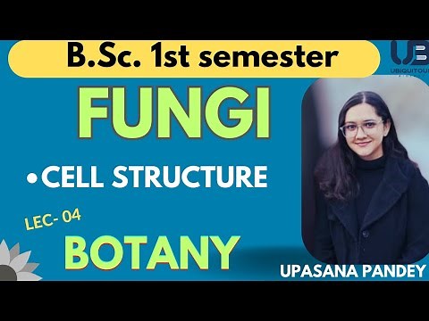 Cell Structure of fungi | Botany | BSc Botany