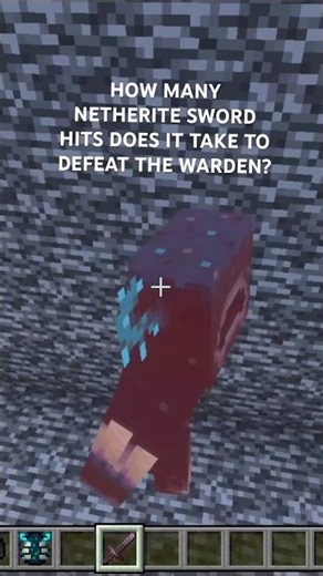 Netherite sword vs Warden